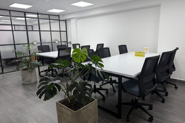 WhatsApp Image 2026-02-19 at 16.07.19 (1)