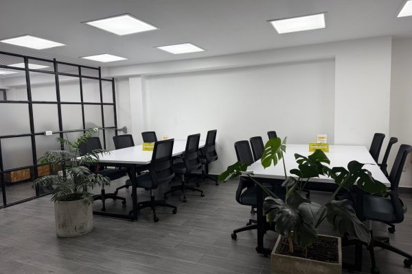 WhatsApp Image 2026-02-19 at 16.07.19 (3)