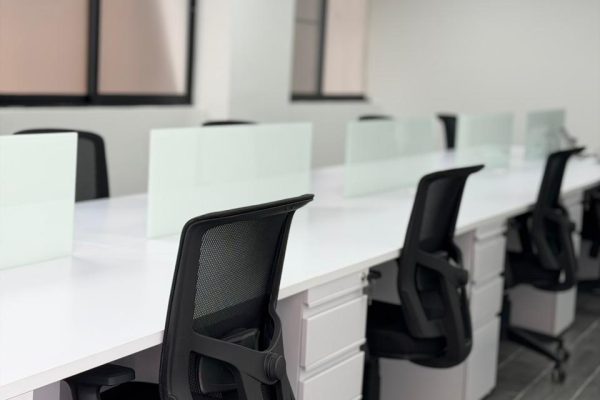 WhatsApp Image 2026-02-19 at 16.10.51 (3)