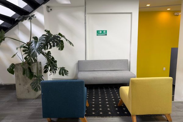 WhatsApp Image 2026-02-19 at 16.17.55