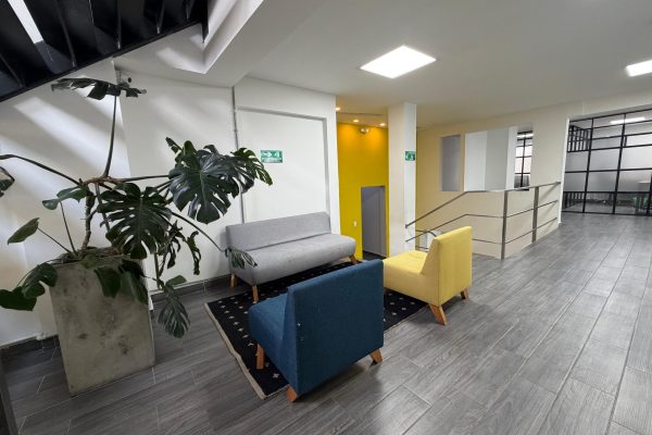 WhatsApp Image 2026-02-19 at 16.18.03