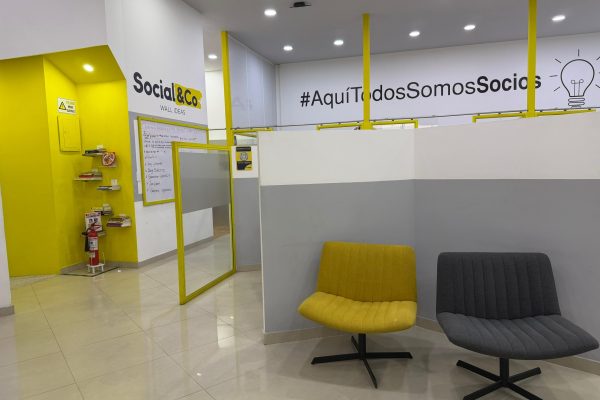 WhatsApp Image 2026-02-19 at 16.27.31