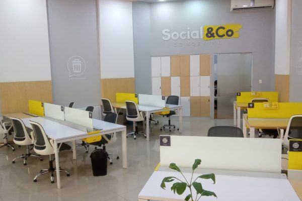 WhatsApp Image 2026-02-19 at 16.29.24