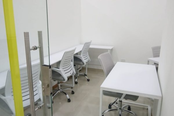 WhatsApp Image 2026-02-19 at 16.31.53