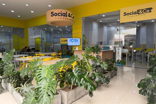 WhatsApp Image 2026-03-16 at 14.04.08 (3)